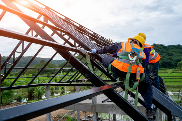 Best Metal Roofing Contractor  in Cambria, IL