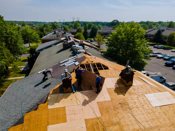 Best Commercial Roofing Services  in Cambria, IL