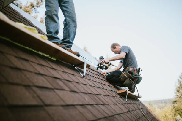 Best Residential Roofing Contractor  in Cambria, IL
